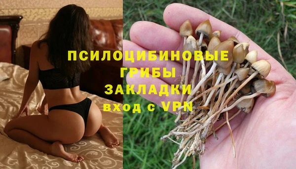 спайс Балабаново