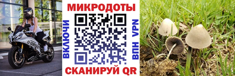 купить  сайты  Малая Вишера  Галлюциногенные грибы Magic Shrooms 